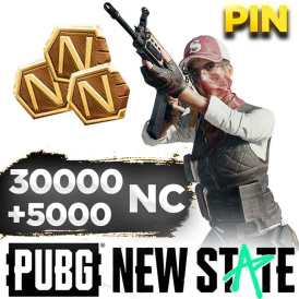 PUBG New State 30000 NC+5000 Bonus PIN
