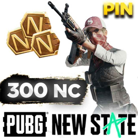 PUBG New State 300 NC PIN