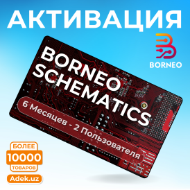 Активация Borneo Schematics для 2 пользователей на 6 месяцев
