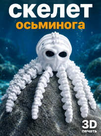 Скелет осьминога 3D-печать, декоративная фигурка, пластиковая модель 20 см