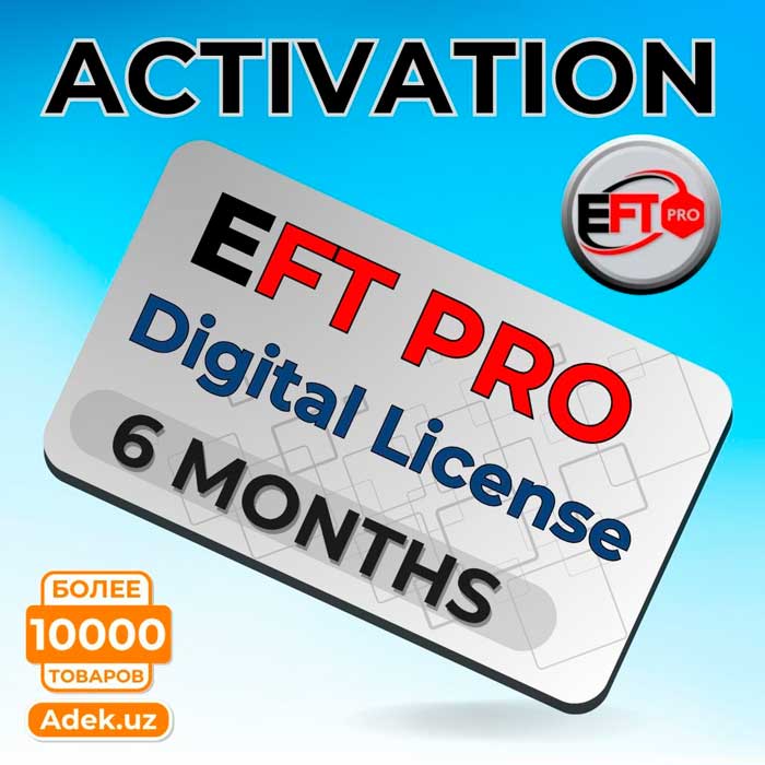 Активация EFT Pro на 6 месяцев - Цифровая лицензия (Без донгла)