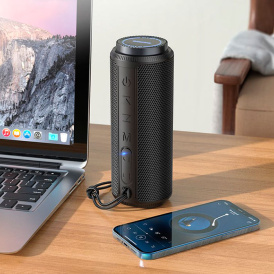 Колонка Bluetooth Borofone BR22, BT, FM, TF, USB, AUX, TWS