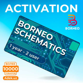 Активация Borneo Schematics для 2 пользователей на 12 месяцев