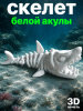 Скелет белой акулы 3D-печатная фигурка