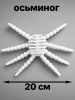 Скелет осьминога 3D-печать, декоративная фигурка, пластиковая модель 20 см