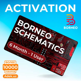 Активация Borneo Schematics для 1 пользователя на 6 месяцев