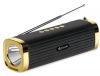 Портативная колонка Kisonli S2 dj, bluetooth,  karoke, FM радио, фонарик, USB 