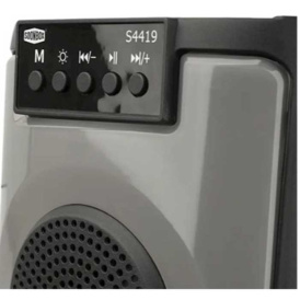 Акустическая колонка напольная Bluetooth SOONBOX S4419.